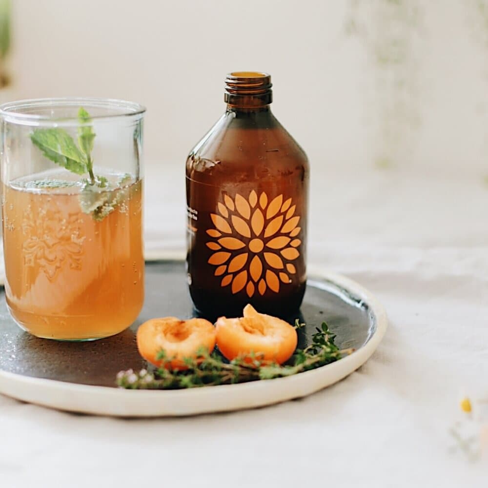 VIGO Kombucha acerola a zázvor BIO 330ml - náhled 3