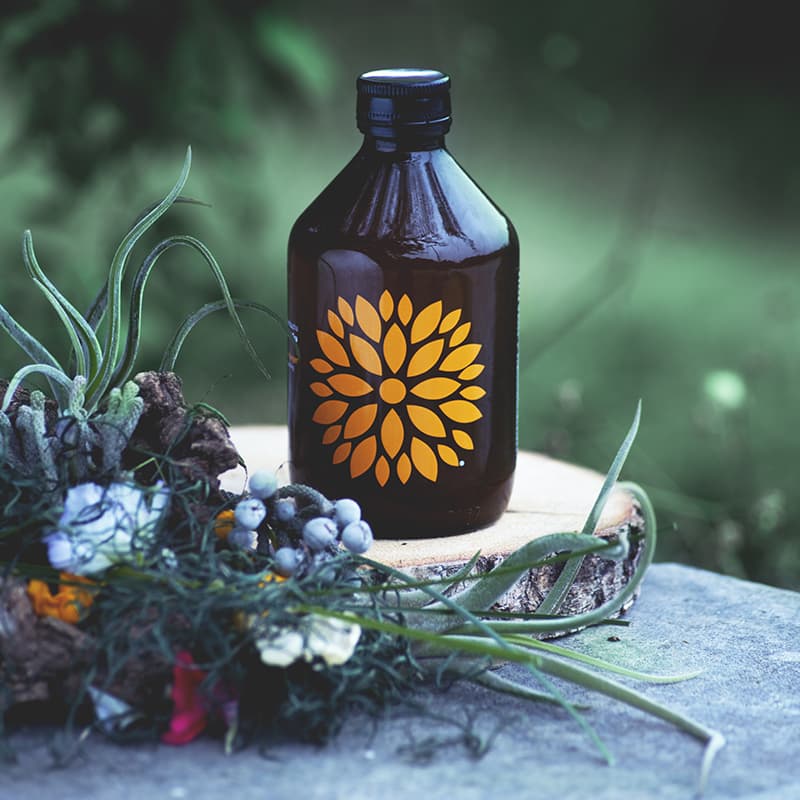 VIGO Kombucha acerola a zázvor BIO 330ml - náhled 2