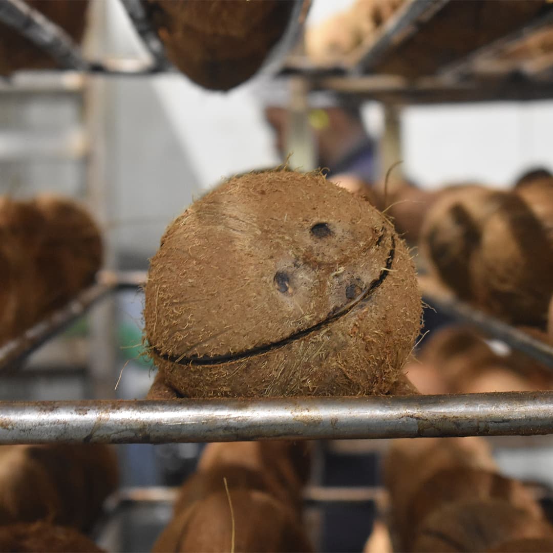 NATU Kokosové chipsy polomáčené 50% hořká čokoláda 140g - náhled 2