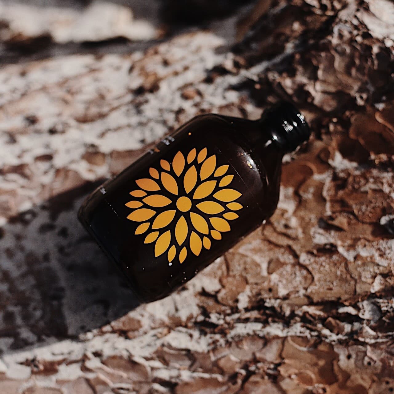 VIGO Kombucha acerola a zázvor BIO 330ml - náhled 5