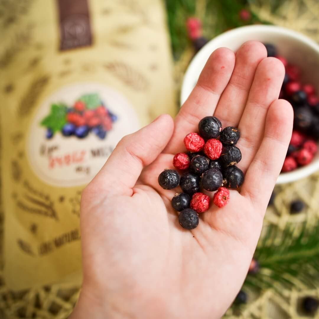 NATU Lyo mix rybíz 45g - náhled 5