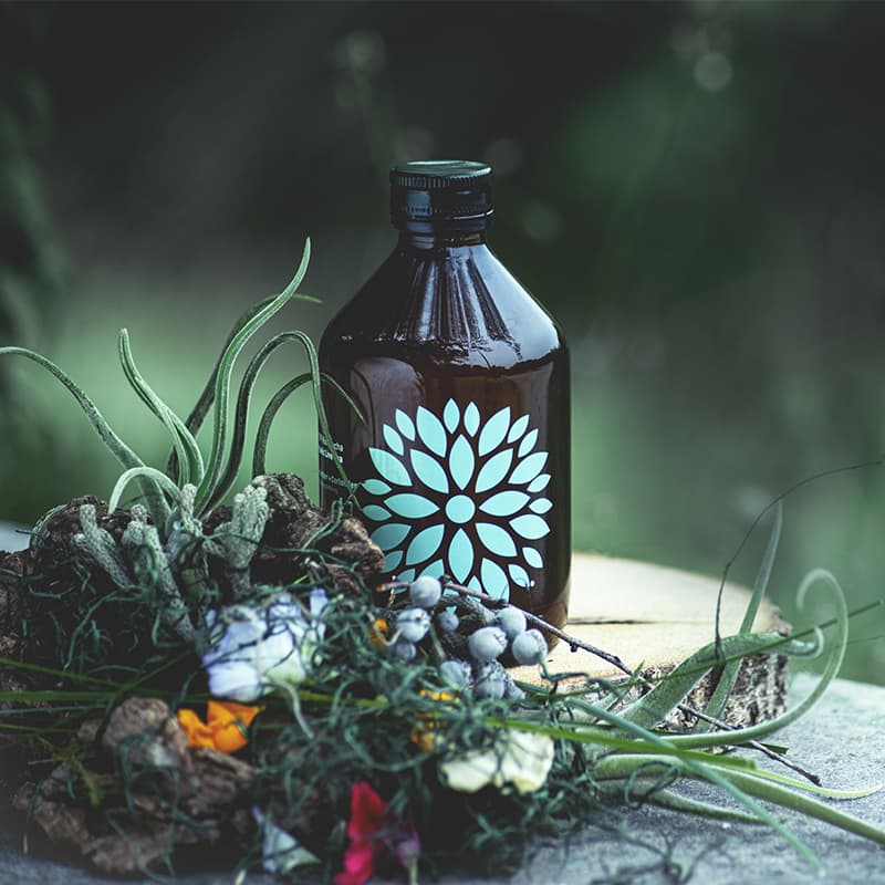 VIGO Kombucha okurka a koriandr BIO 330ml - náhled 2