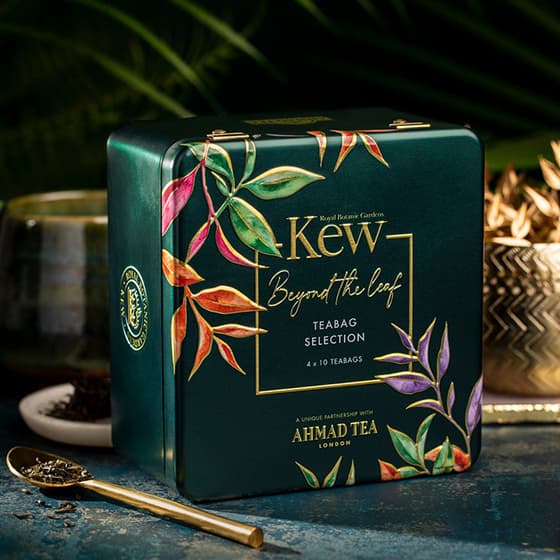 Kew Selection | 40 alu sáčků - náhled 2