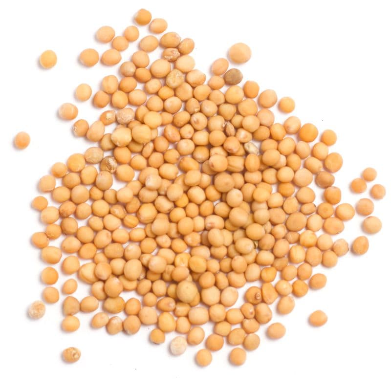 Hořčice žlutá celá 45 g - náhled 2