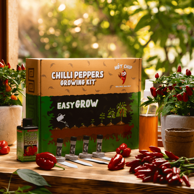 Dárková sada na pěstování chilli papriček - Easy Grow