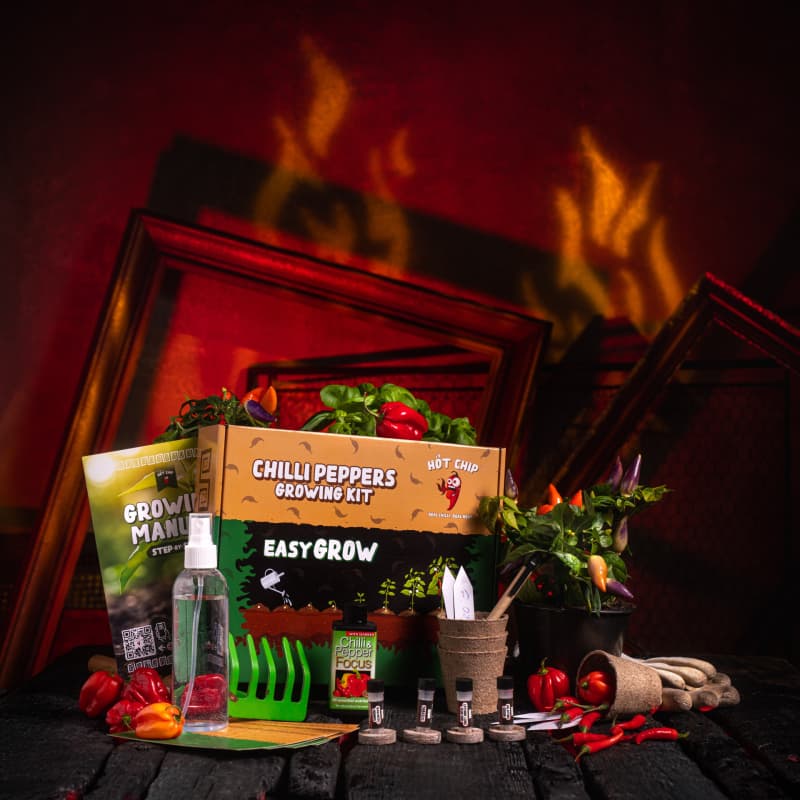 Dárková sada na pěstování chilli papriček - Easy Grow - náhled 2