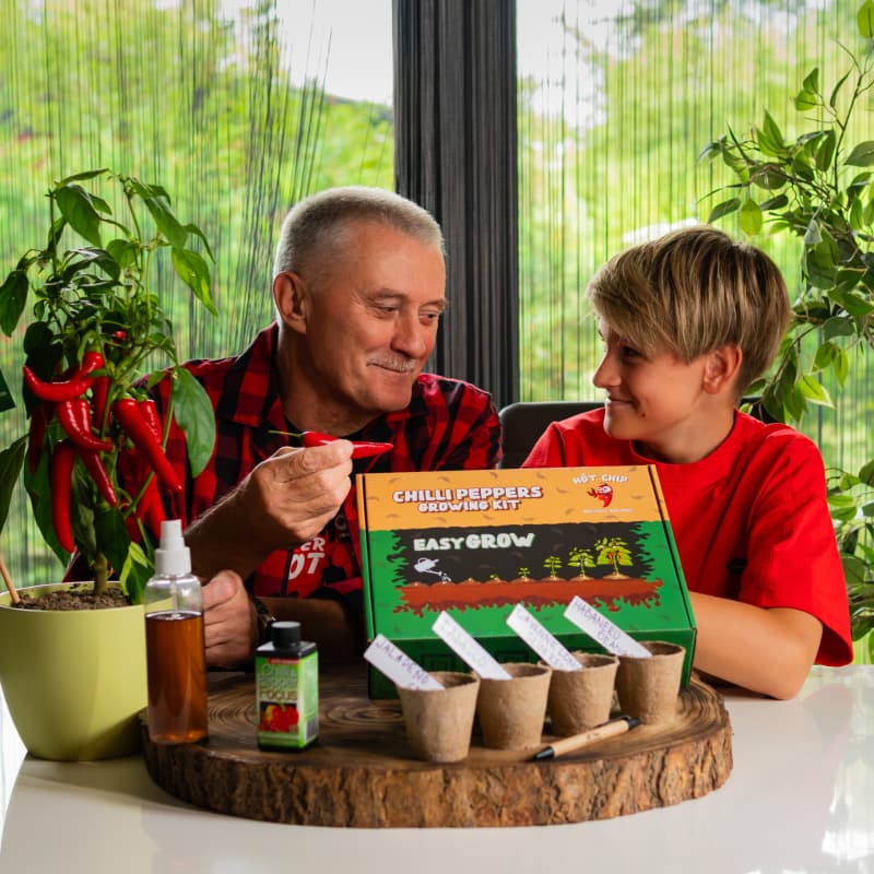 Dárková sada na pěstování chilli papriček - Easy Grow - náhled 3