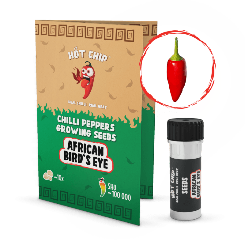 African Bird's Eye - semínka chilli