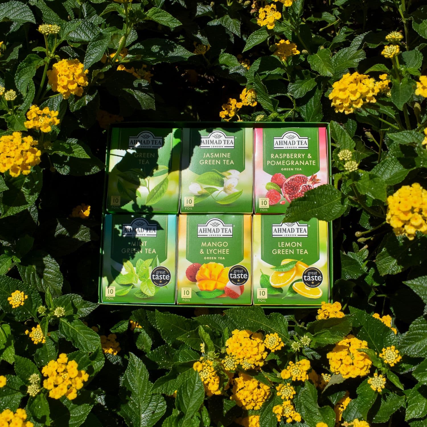 Ahmad Tea | Evergreen | 60 alu sáčků - náhled 3